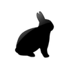 Captcha image 2715